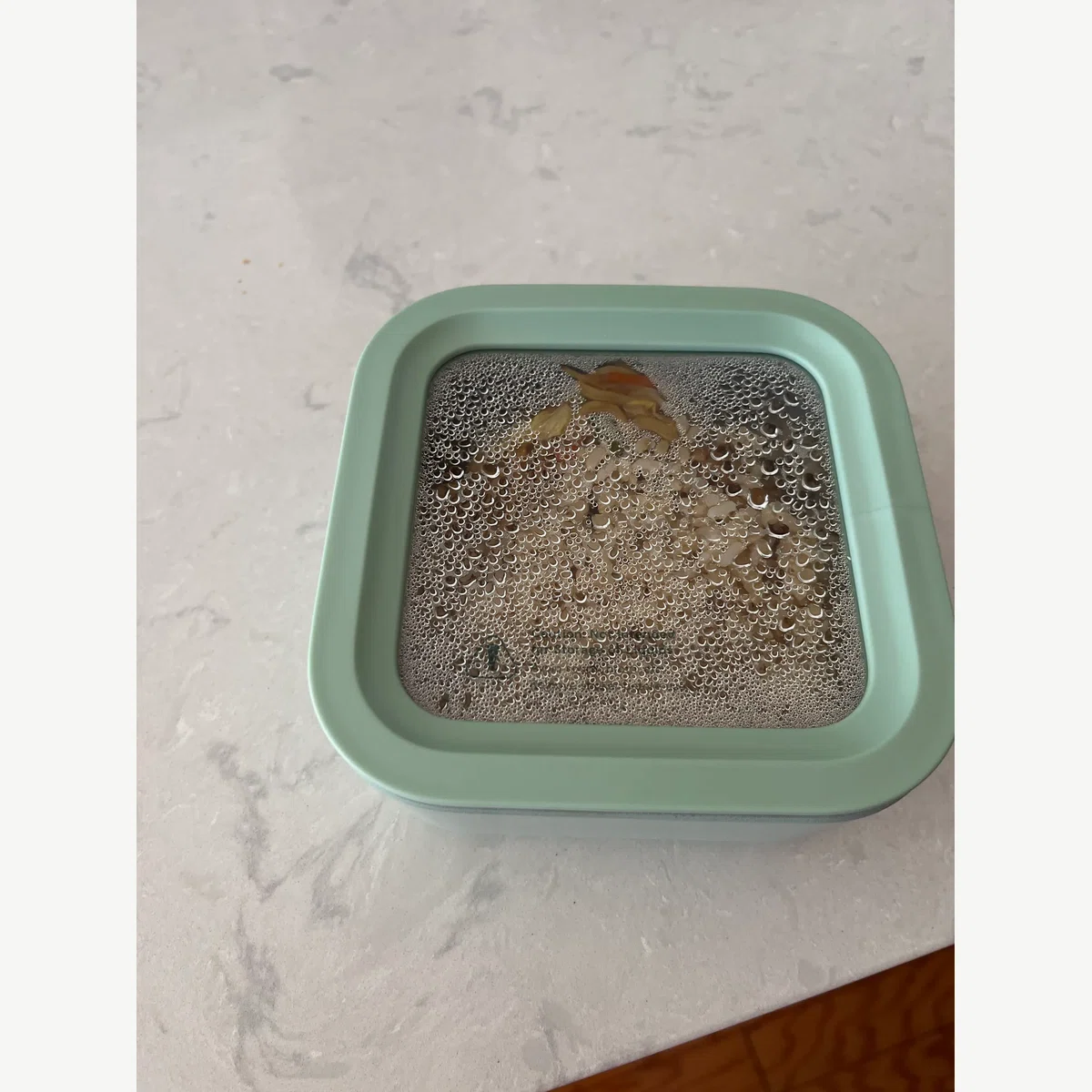 Perfect for snacks