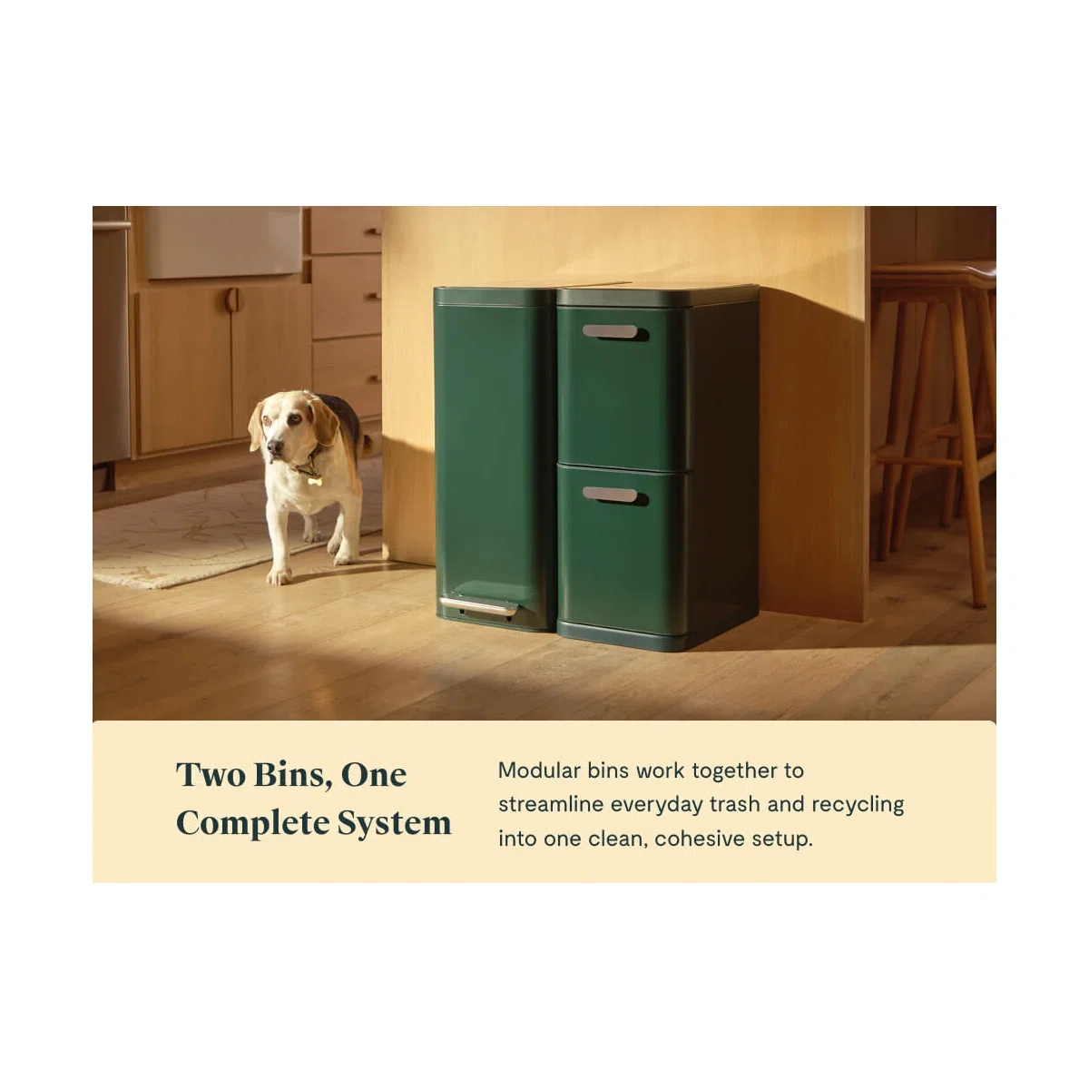 caraway-trash-recycling-duo-slim-stainless-steel-kitchen-bins-fingerprint-resist image 4
